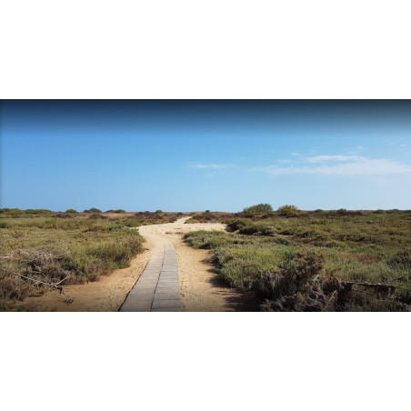 Golden Cabanas Villa