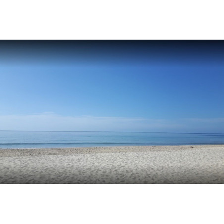 Golden Cabanas Villa